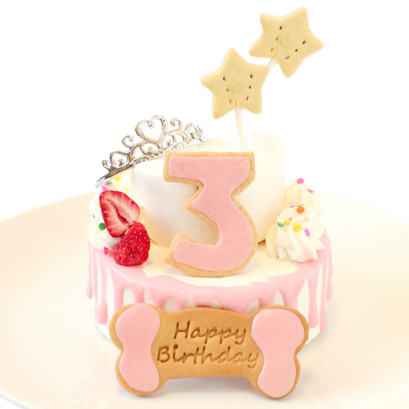 �������󥰥ʥ�С�Castle�ʥԥ󥯡� 4���������