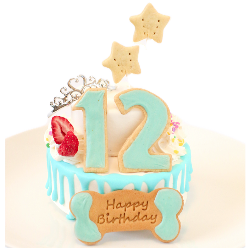 �������󥰥ʥ�С�Castle�ʥ֥롼�� 4���������
