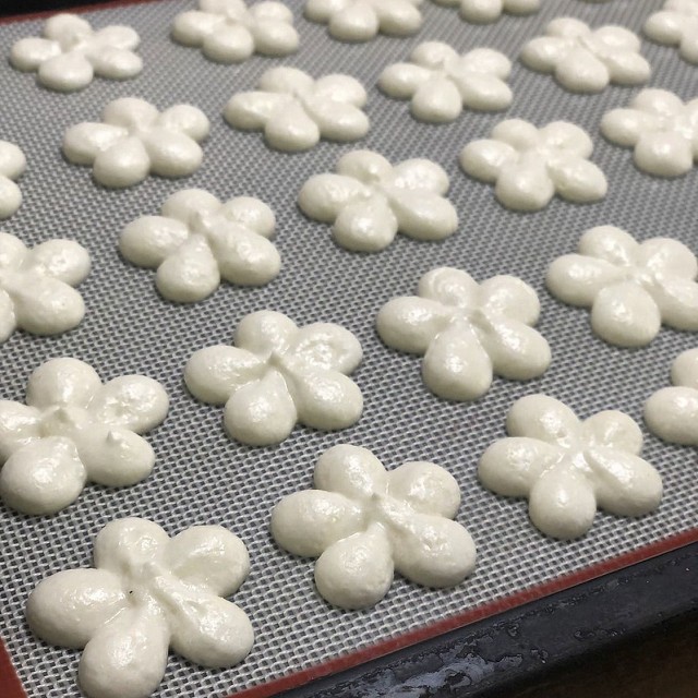 �Ҥʺפ�ޥ������������