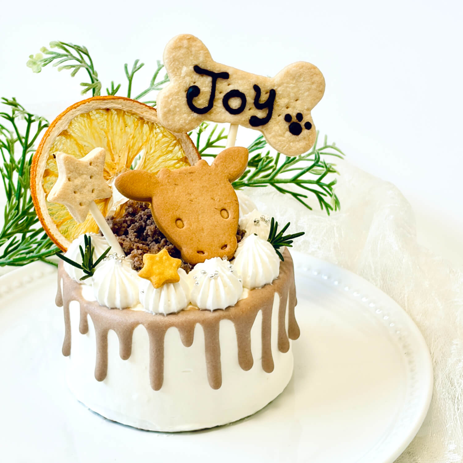 ������ɥ�åץǥ��졼����� �����������