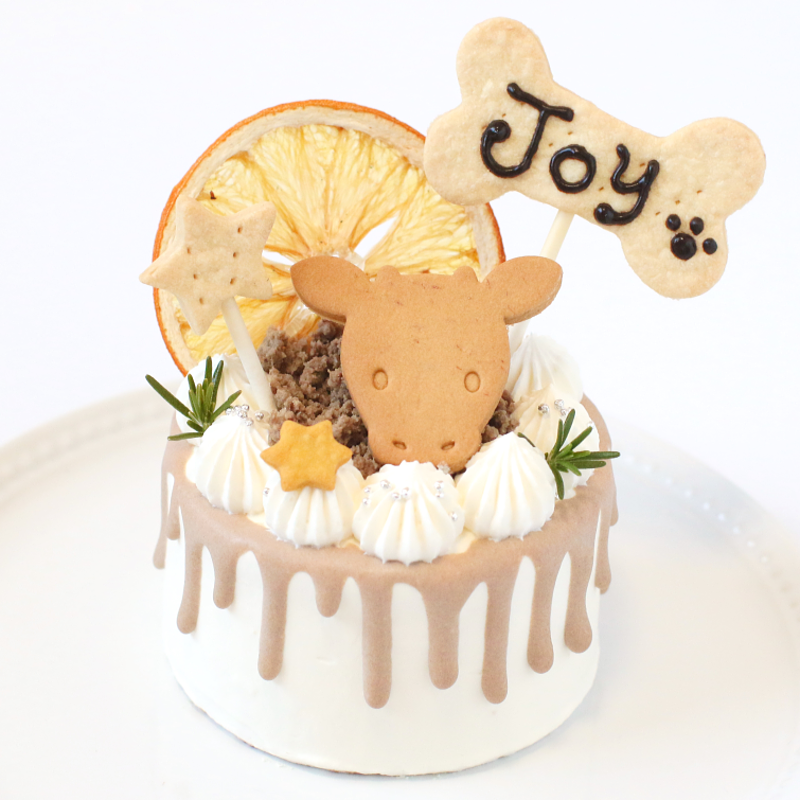 ������ɥ�åץǥ��졼����� �����������