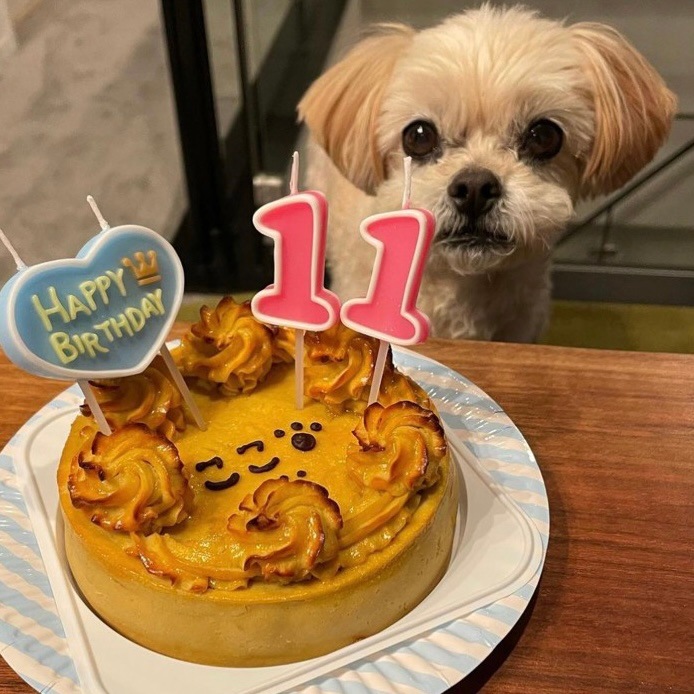 �٥����ɡ��������ȥݥƥȡ������������