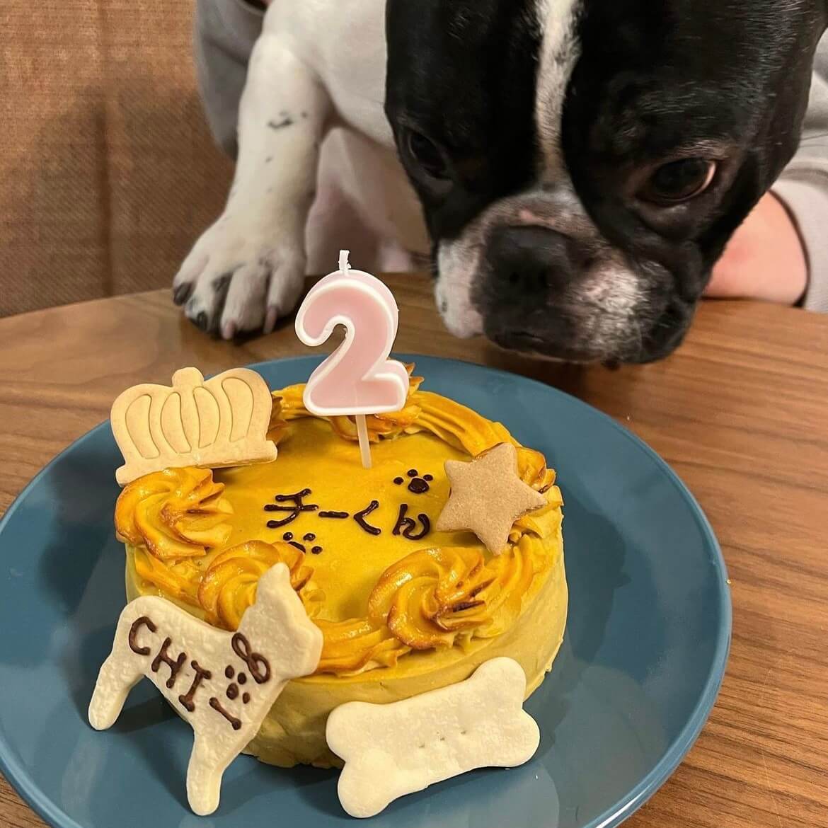 �٥����ɡ��������ȥݥƥȡ������������