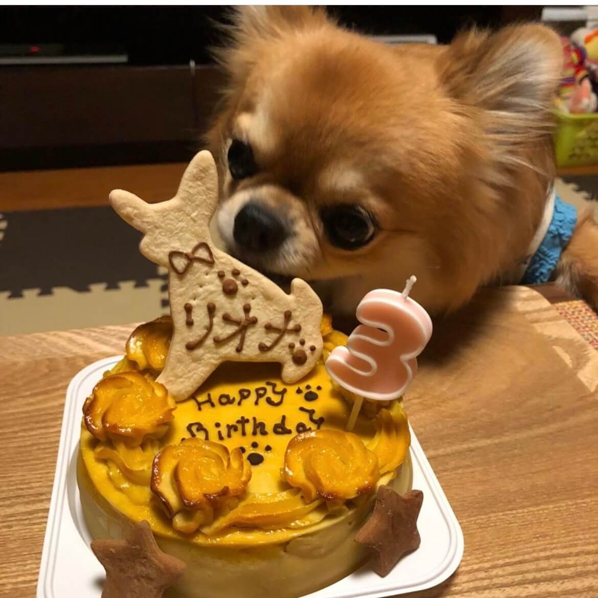 �٥����ɡ��������ȥݥƥȡ������������