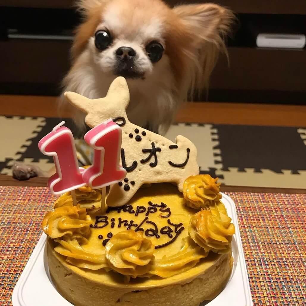 �٥����ɡ��������ȥݥƥȡ������������