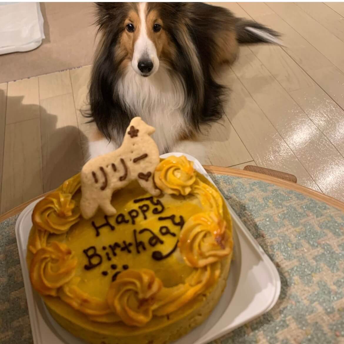 �٥����ɡ��������ȥݥƥȡ������������