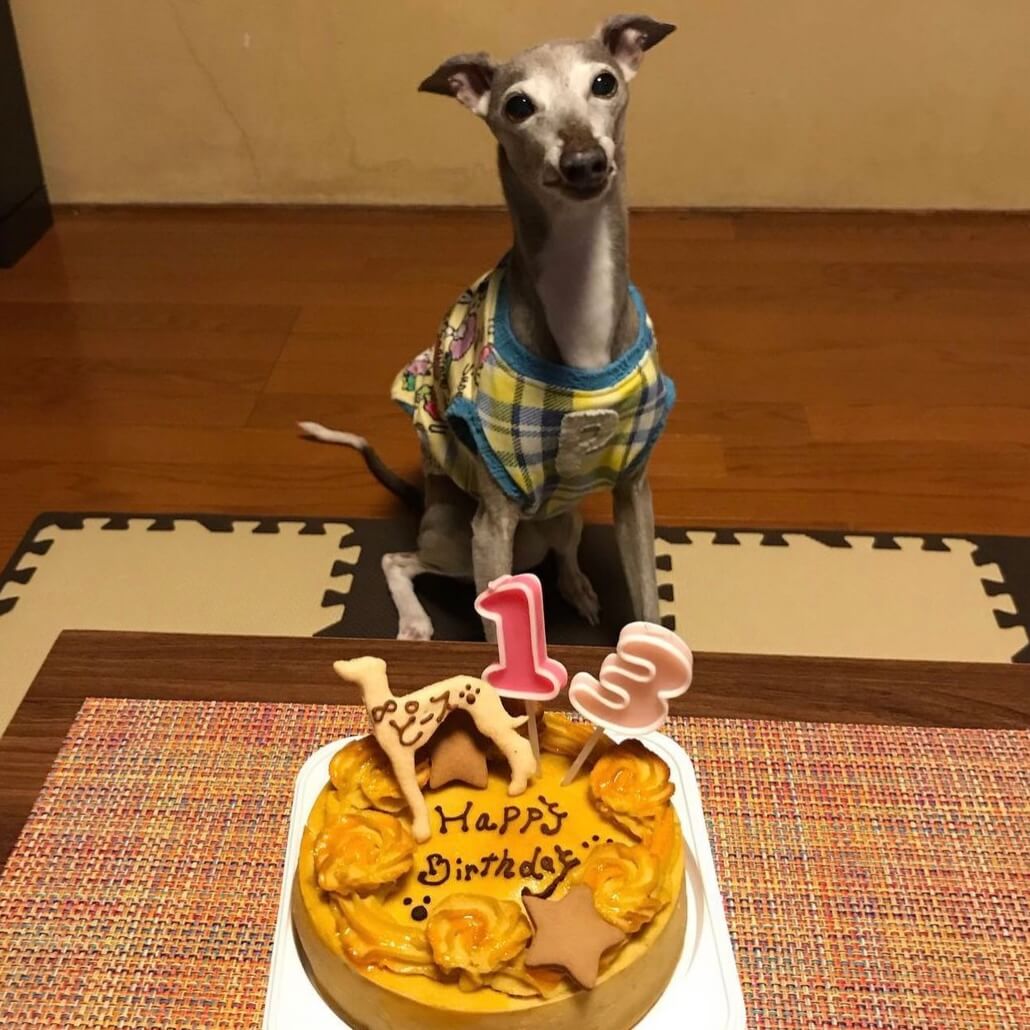 �٥����ɡ��������ȥݥƥȡ������������