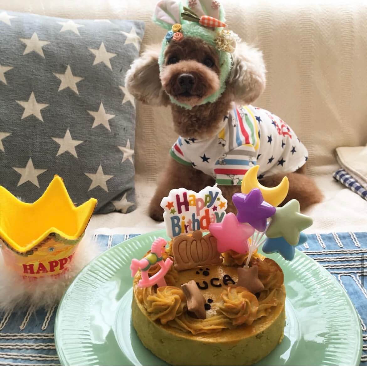 �٥����ɡ��������ȥݥƥȡ������������