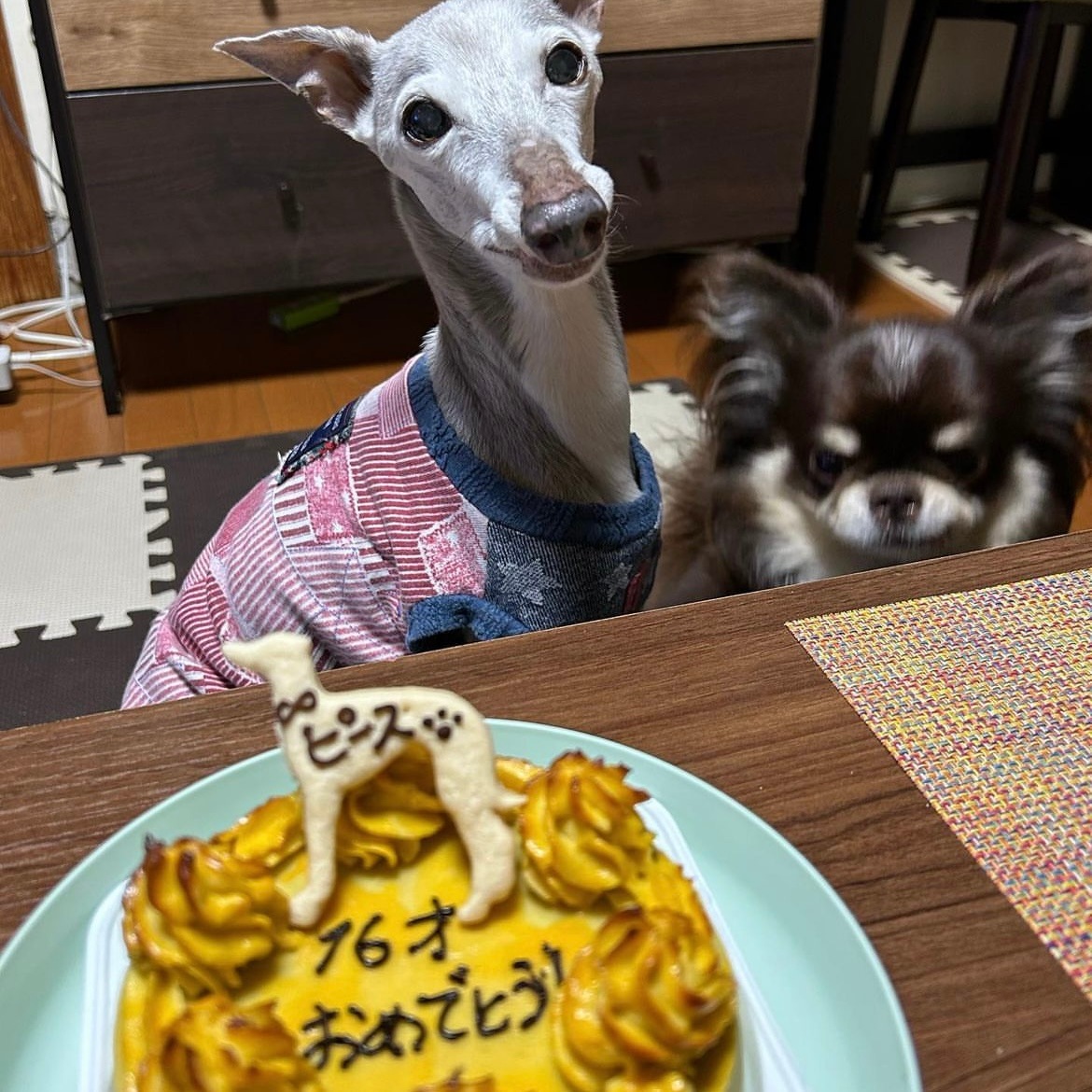 �٥����ɡ��������ȥݥƥȡ������������