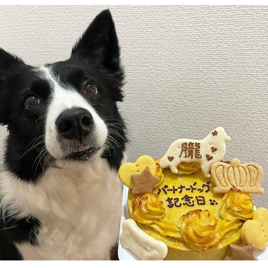 �٥����ɡ��������ȥݥƥȡ������������