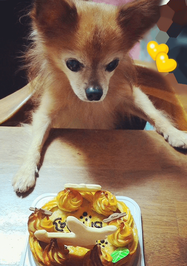 �٥����ɡ��������ȥݥƥȡ������������