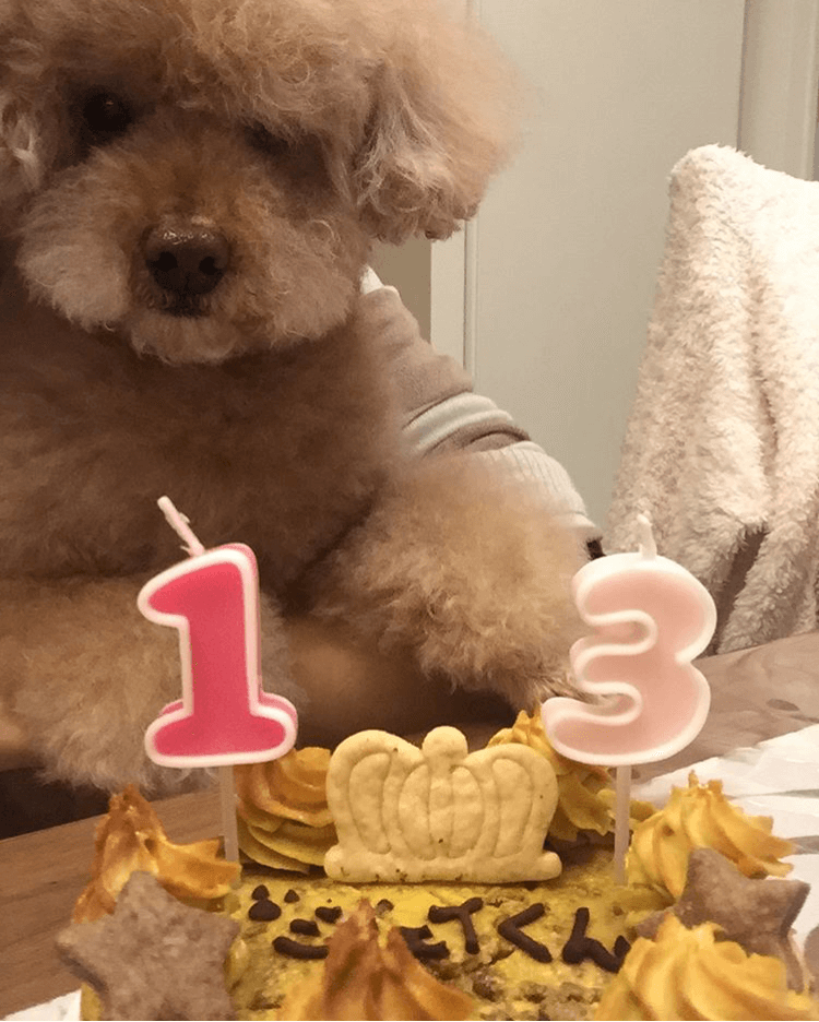 �٥����ɡ��������ȥݥƥȡ������������