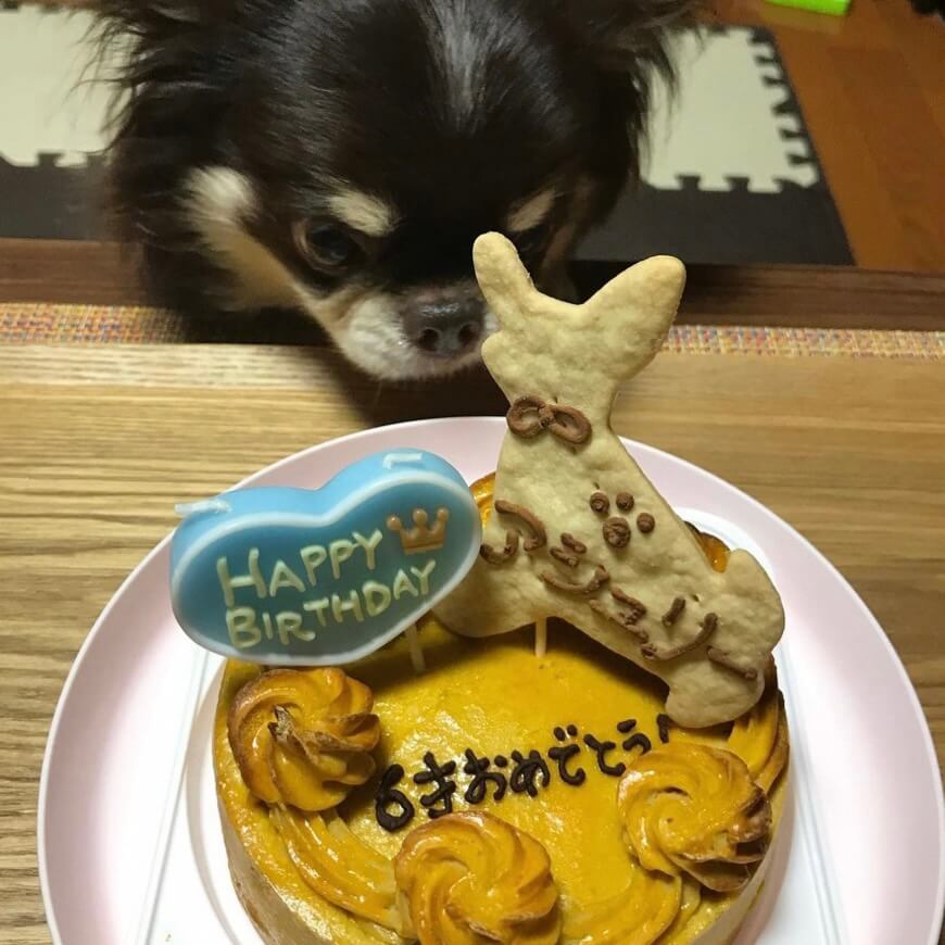 �٥����ɡ��������ȥݥƥȡ������������