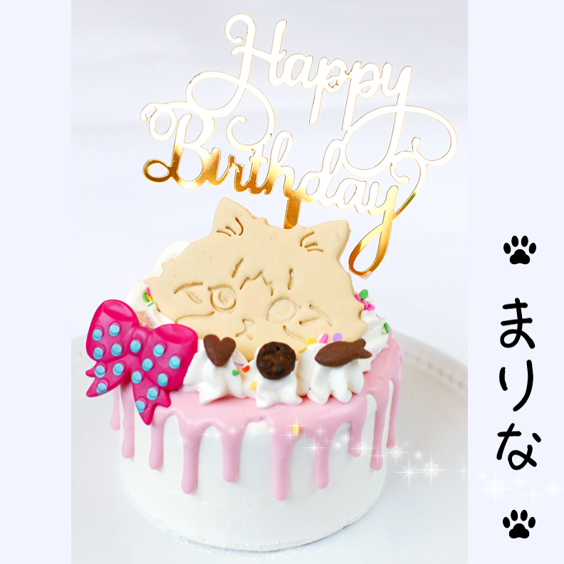 DearMyCat ǥ졼ʥԥ󥯡 