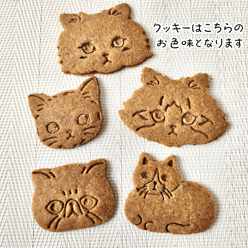 DearMyCat ǥ졼ʥԥ󥯡 