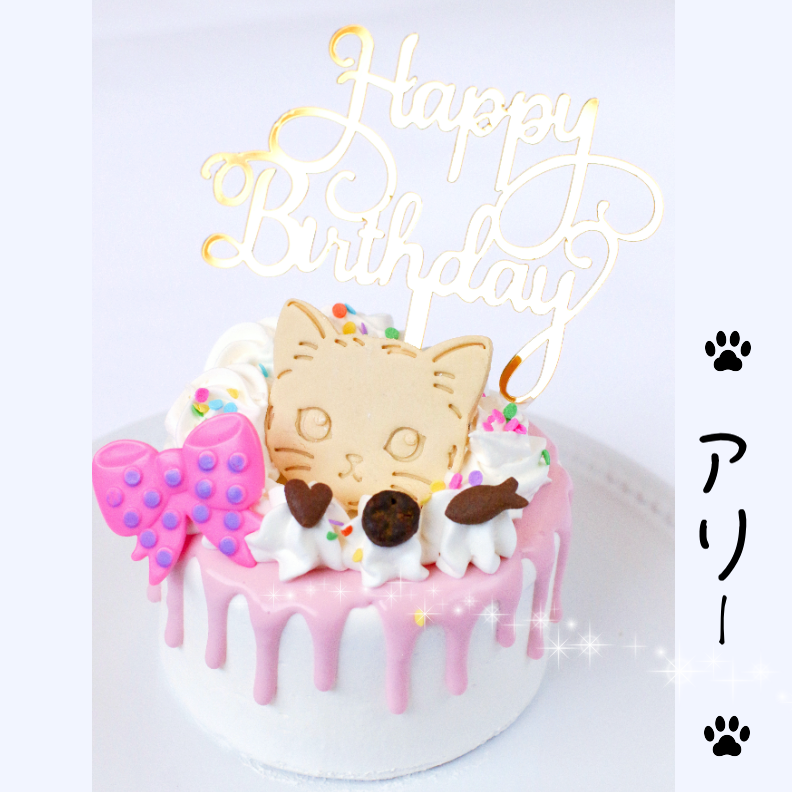 DearMyCat ǥ졼ʥԥ󥯡 