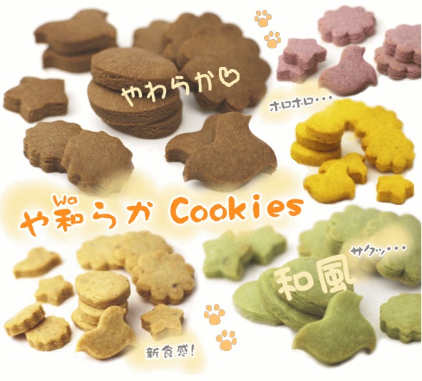 ���¤餫�̳�ƻ�������