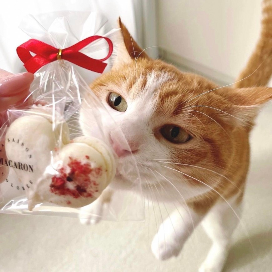 ��Ǯ��LOVE�ޥ�������������ء�