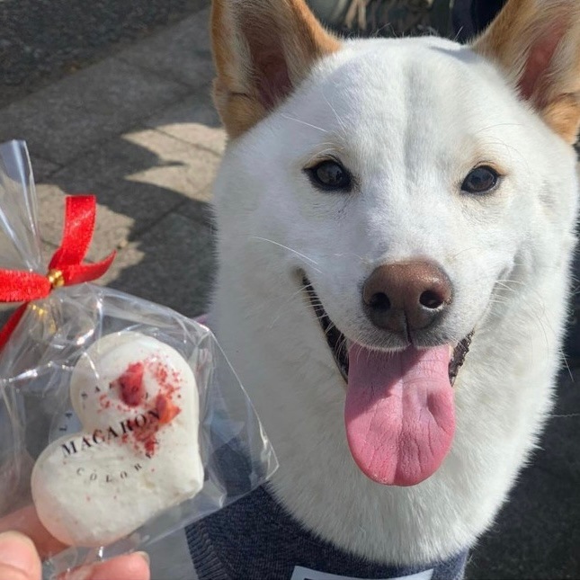 ��Ǯ��LOVE�ޥ�������������ء�