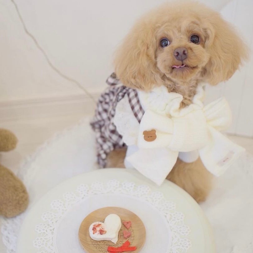 ��Ǯ��LOVE�ޥ�������������ء�