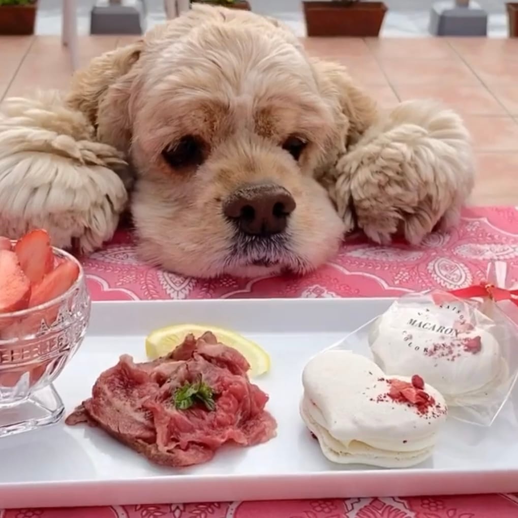 ��Ǯ��LOVE�ޥ�������������ء�