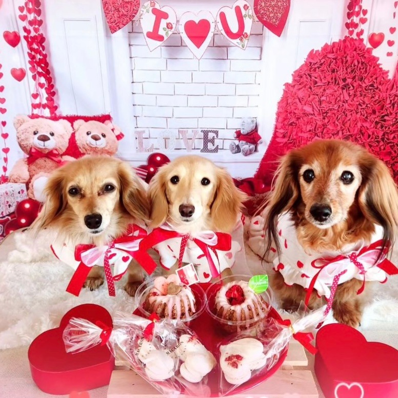 ��Ǯ��LOVE�ޥ�������������ء�