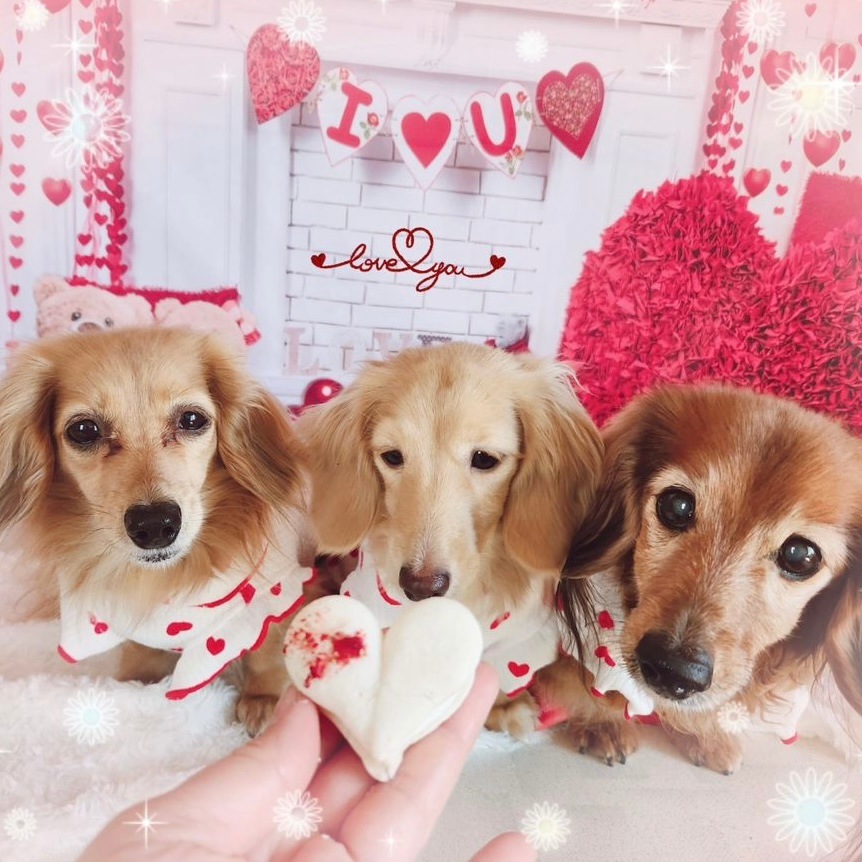 ��Ǯ��LOVE�ޥ�������������ء�