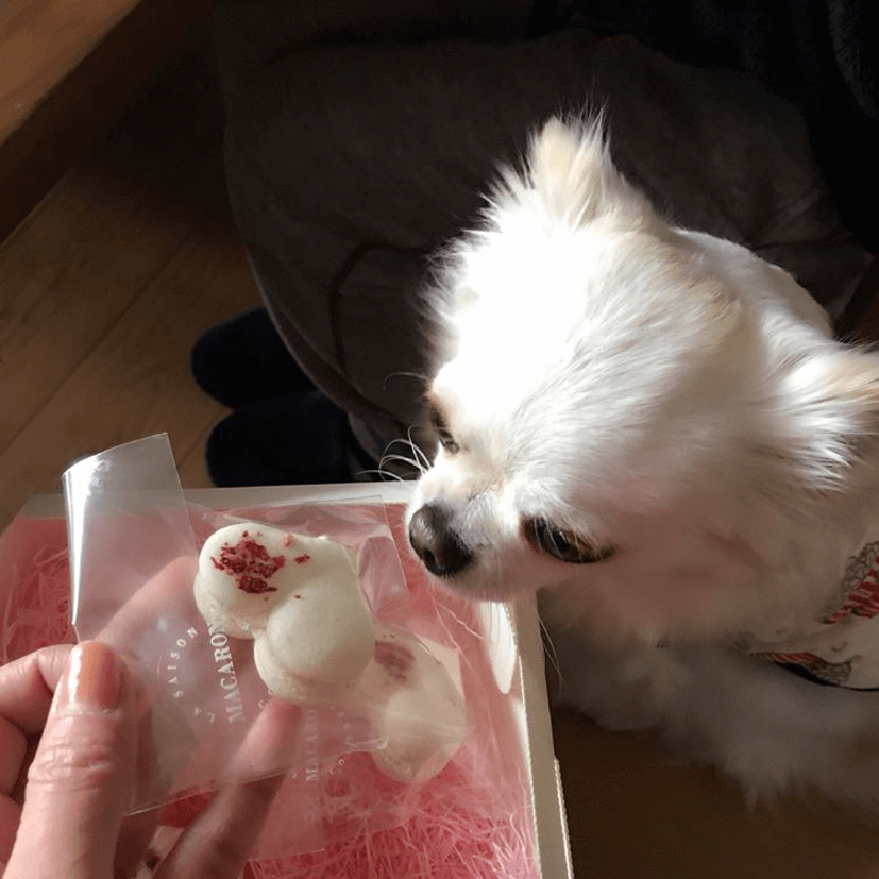 ��Ǯ��LOVE�ޥ�������������ء�