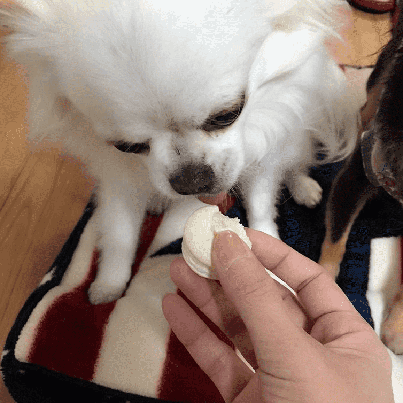 ��Ǯ��LOVE�ޥ�������������ء�