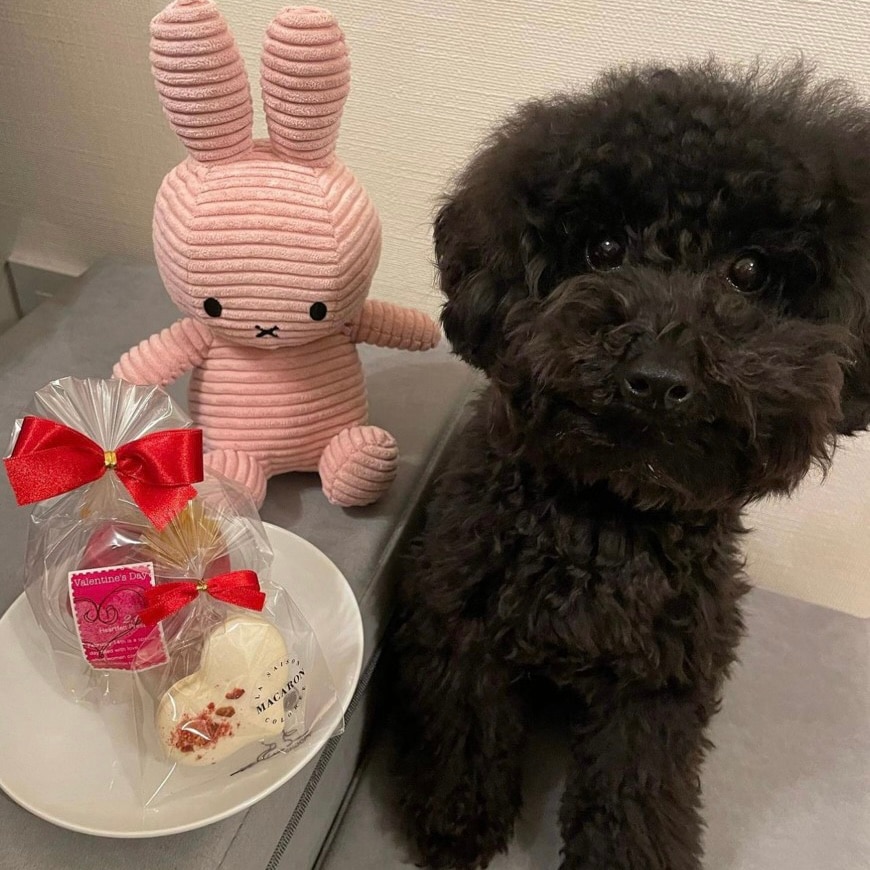 ��Ǯ��LOVE�ޥ�������������ء�