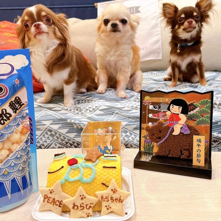 �����Τܤ�Kun��������