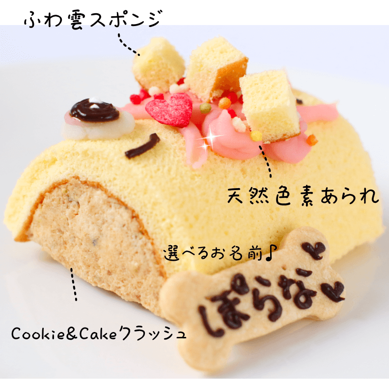 ���Τܤ�Chan��������