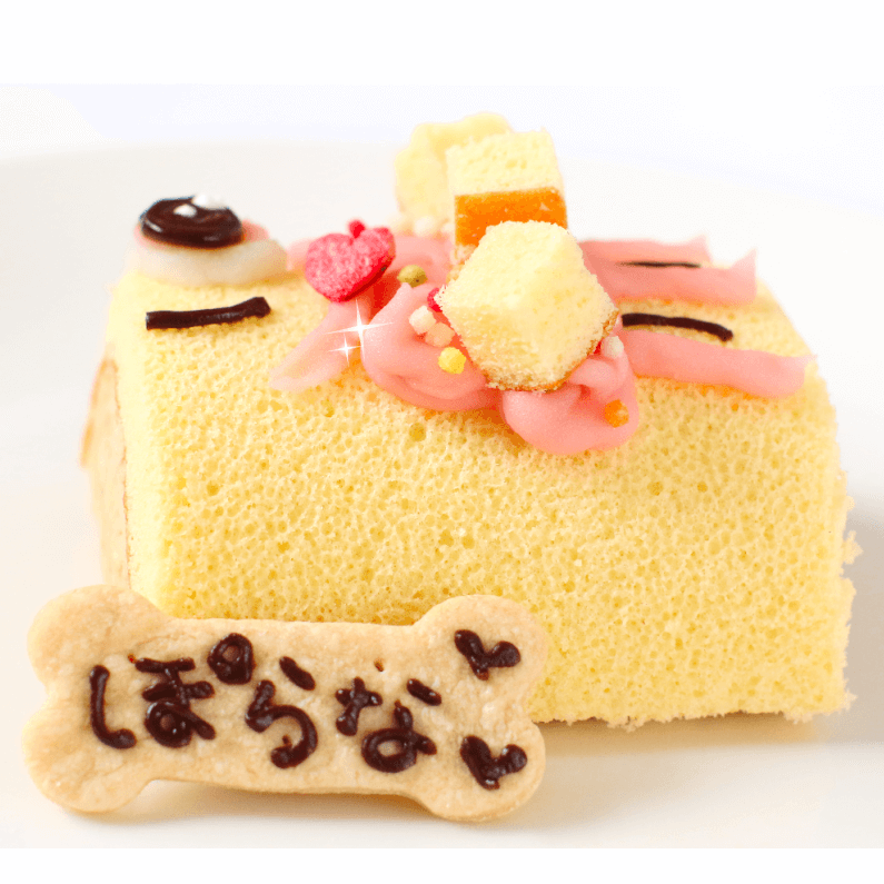 ���Τܤ�Chan��������