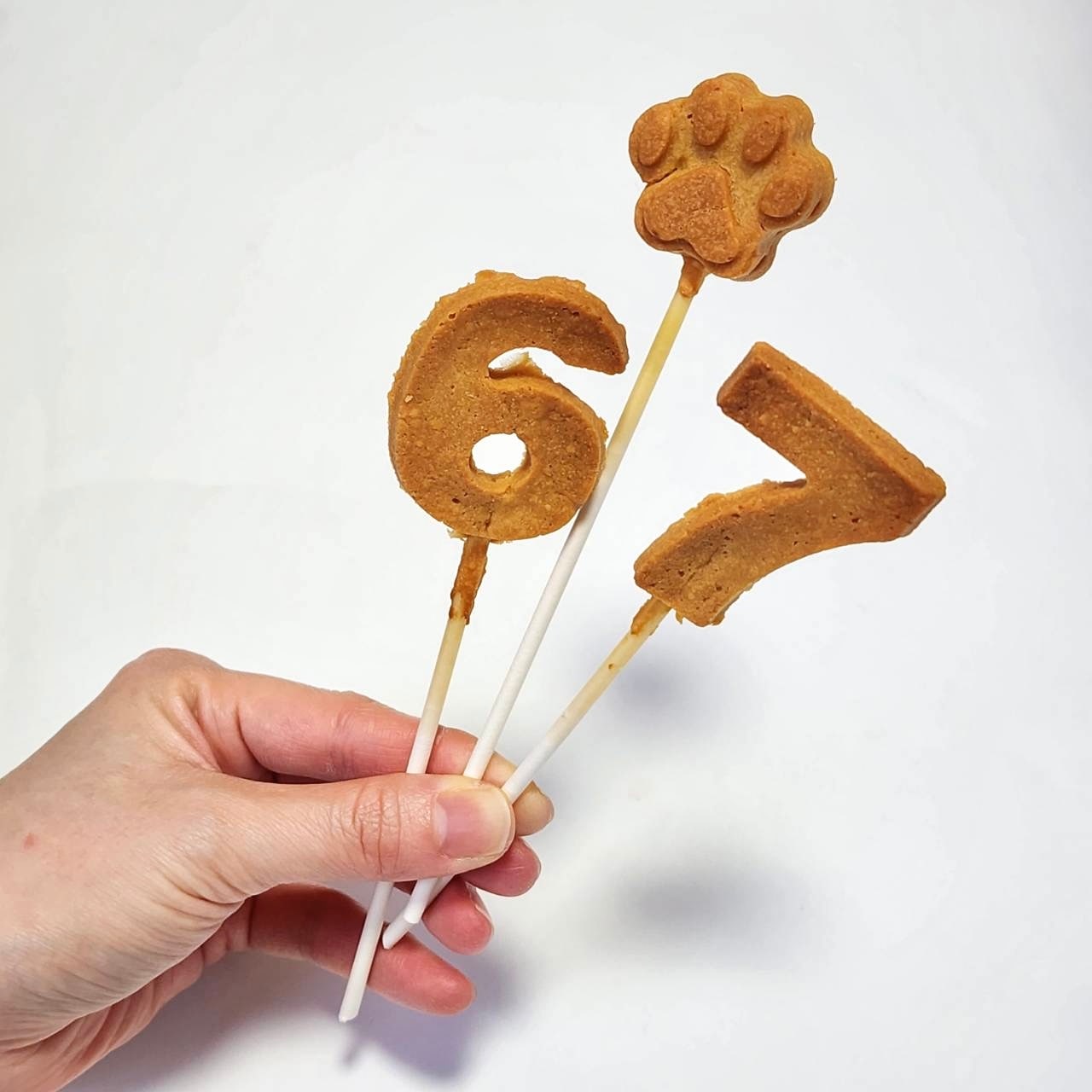 DearMyDog ɥåףʥǥ졼ʥԥ󥯡 