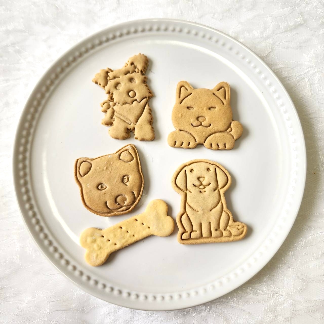 DearMyDog ɥåףʥǥ졼ʥԥ󥯡 