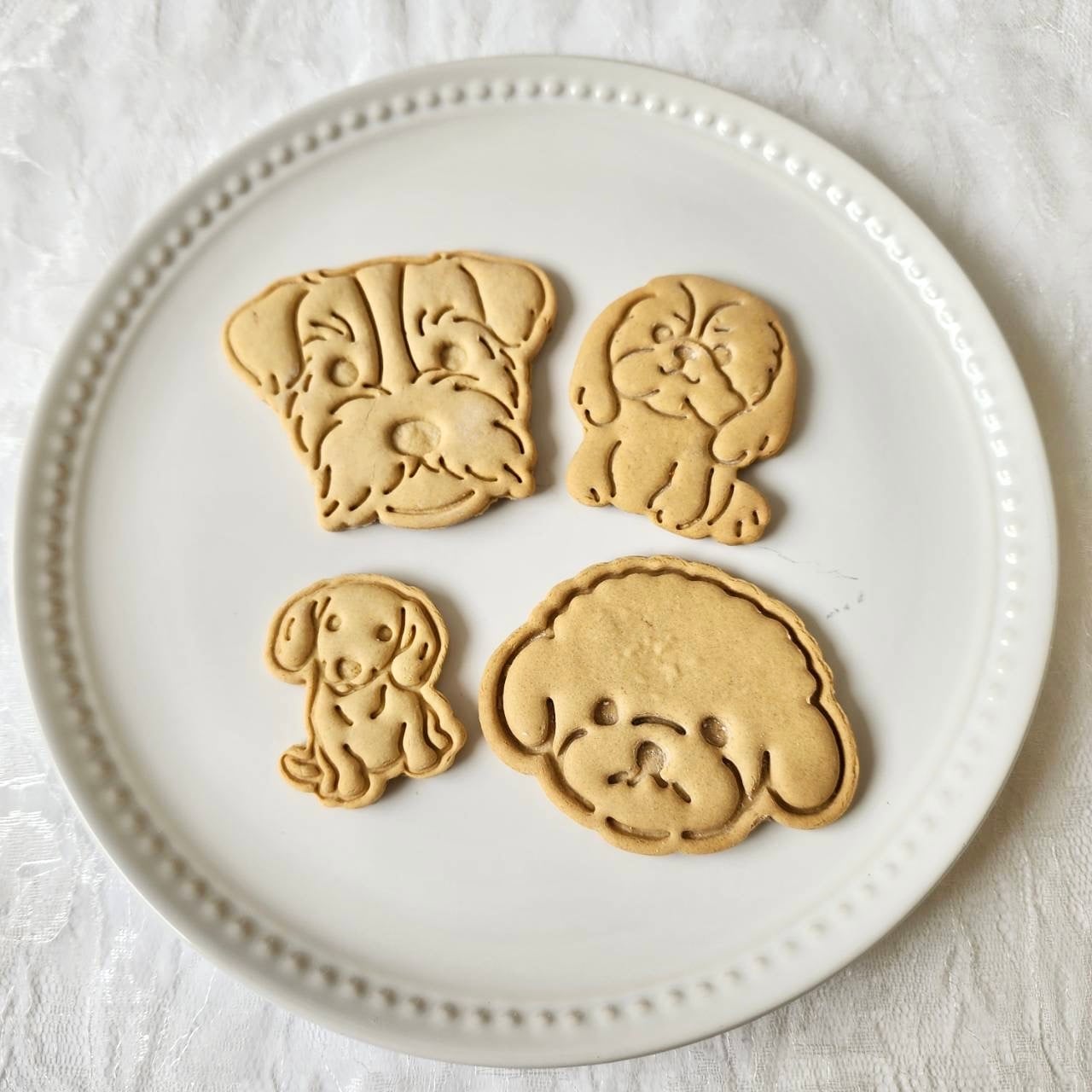 DearMyDog ɥåףʥǥ졼ʥԥ󥯡 