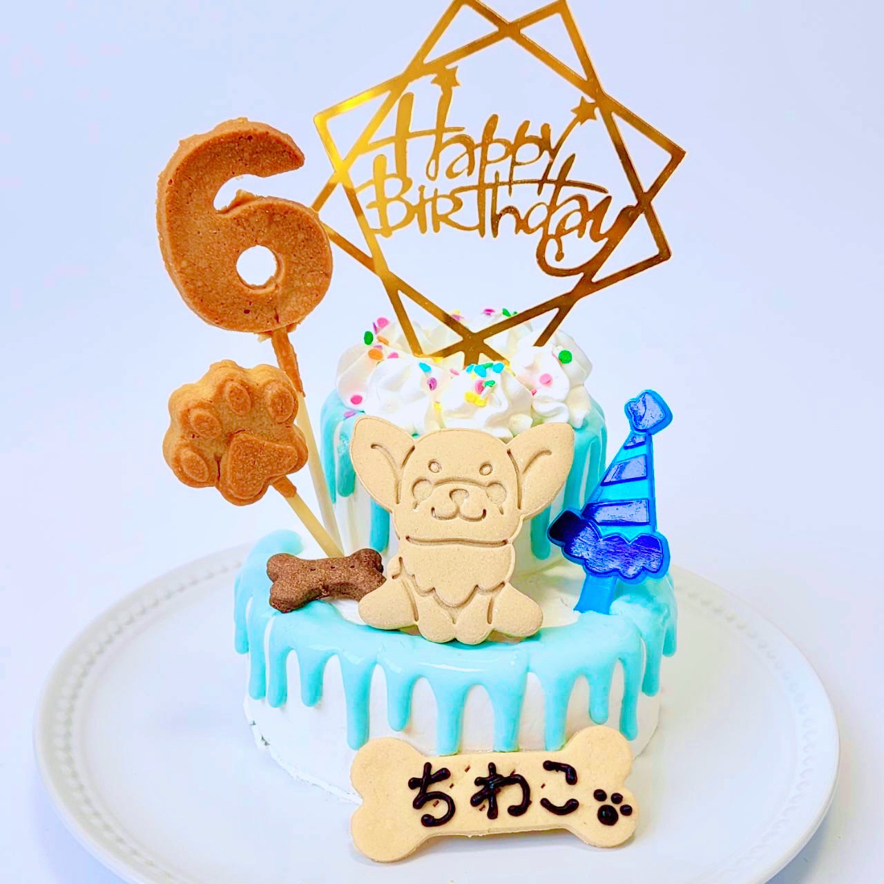 DearMyDog ɥåףʥǥ졼ʥ֥롼 