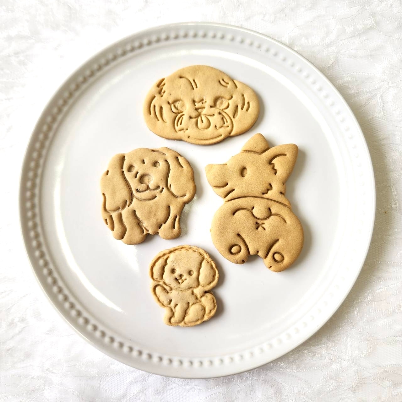 DearMyDog ɥåףʥǥ졼ʥ֥롼 