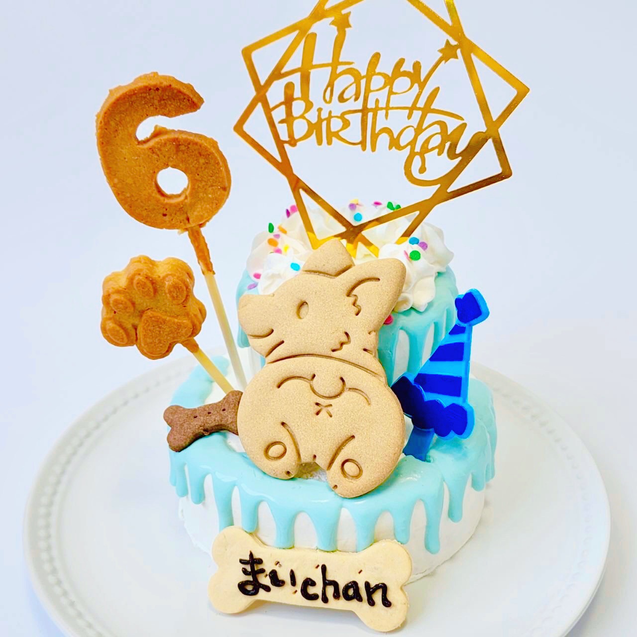 DearMyDog ɥåףʥǥ졼ʥ֥롼 