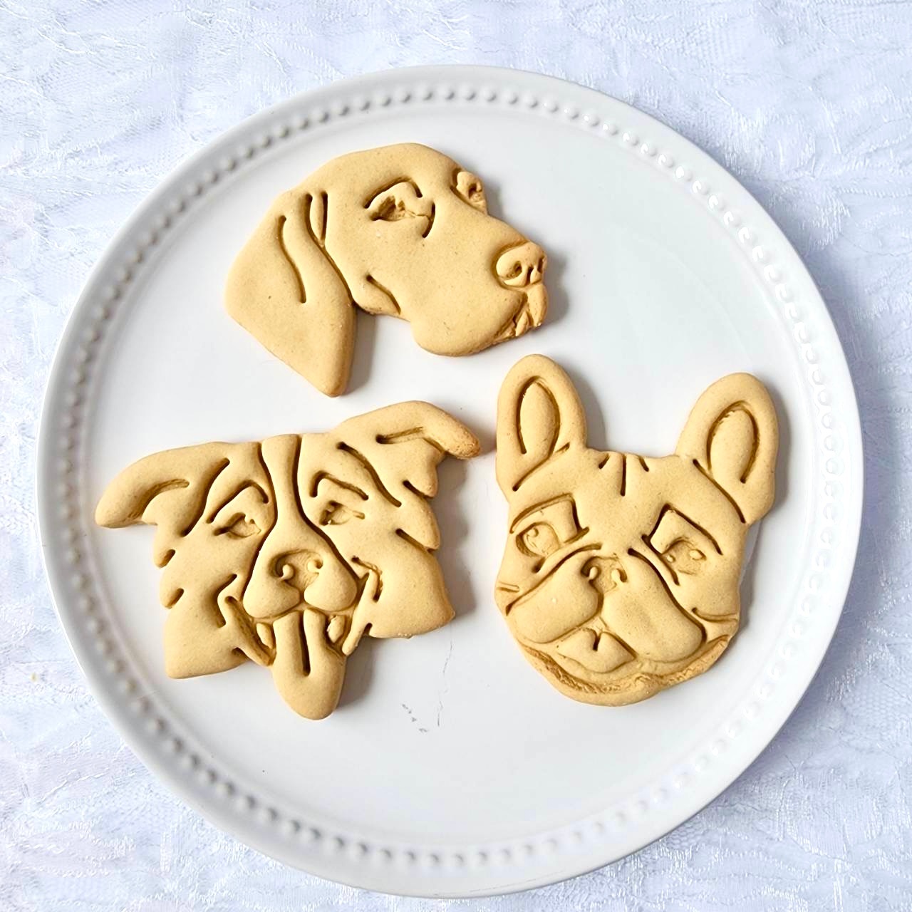 DearMyDog ɥåףʥǥ졼ʥ֥롼 