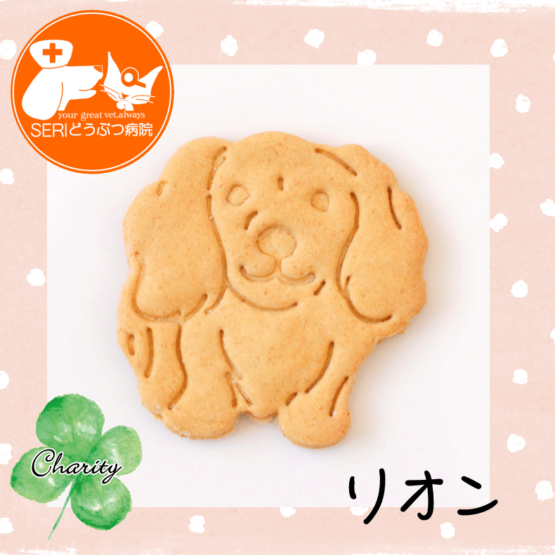 Familyץ꡼ȥХåȥեȡʥƥ