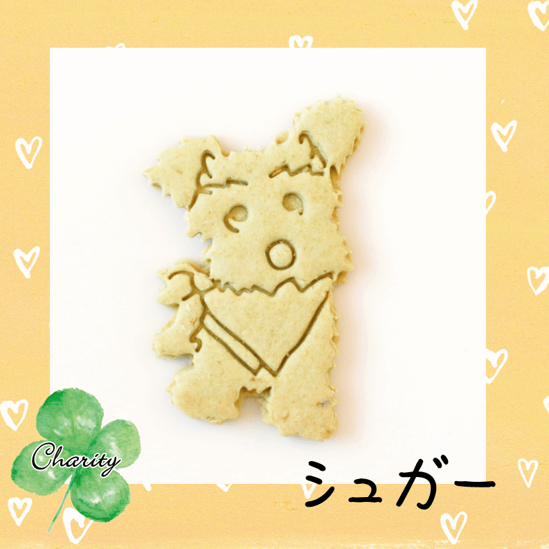 Familyץ꡼ȥХåȥեȡʥƥ