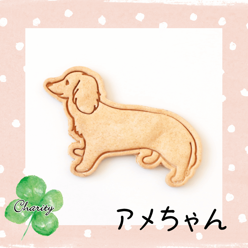 Familyץ꡼ȥХåȥեȡʥƥ