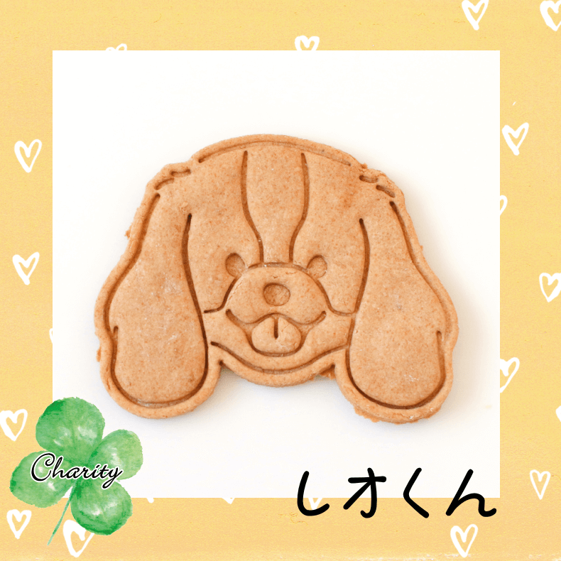 Familyץ꡼ȥХåȥեȡʥƥ