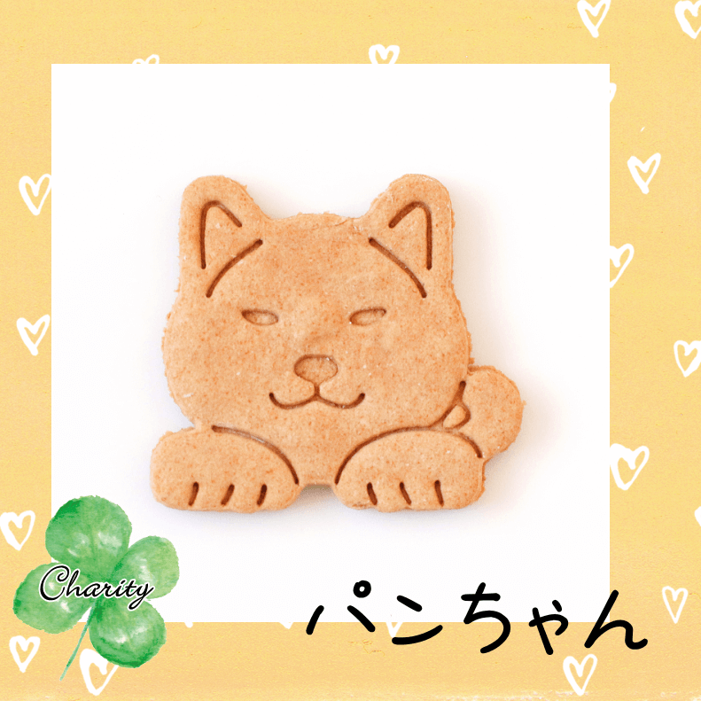 Familyץ꡼ȥХåȥեȡʥƥ