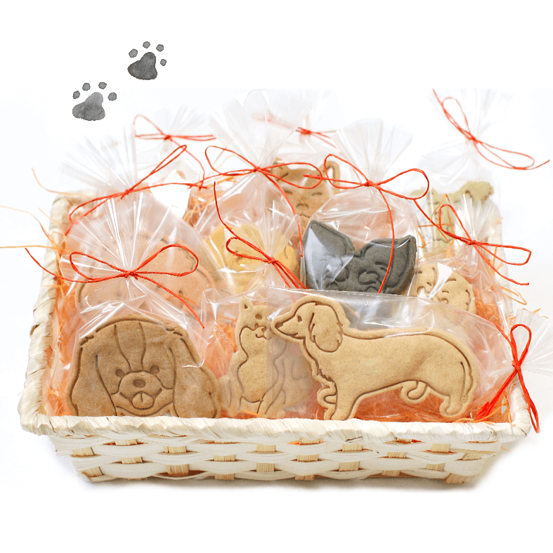 Familyץ꡼ȥХåȥեȡʥƥ