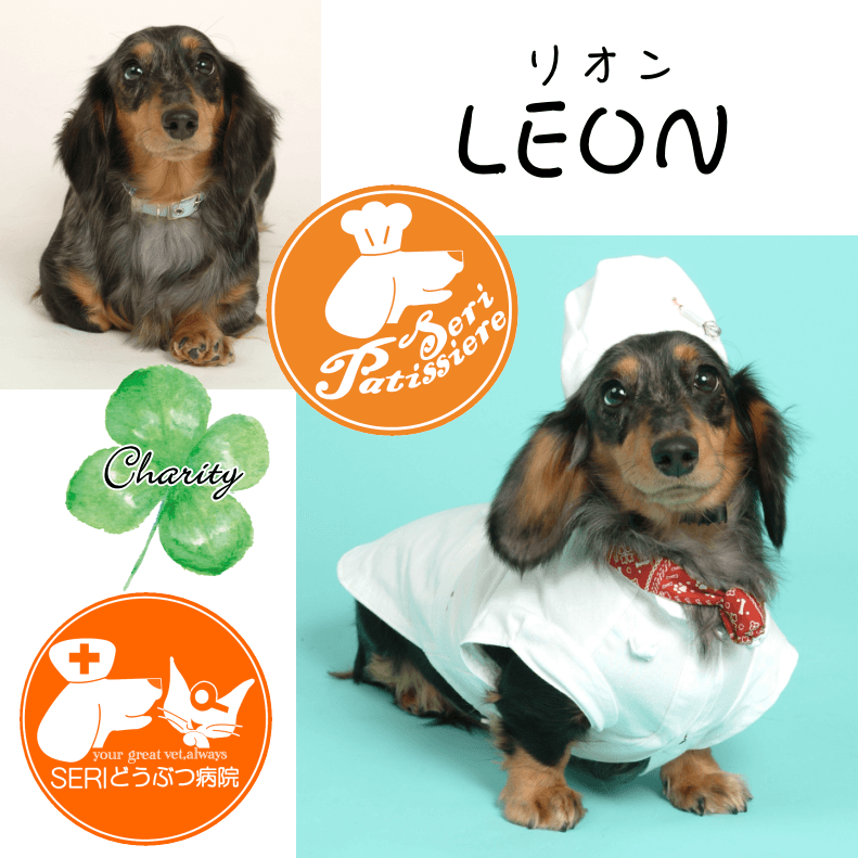 Familyץ꡼ȥХåȥեȡʥƥ