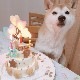 GoGoMerryGoLand!ʥɣˡ