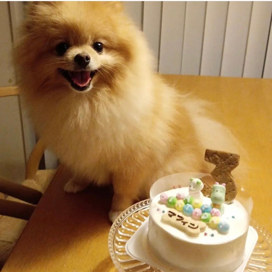 Baby's Toy BOX 4���������