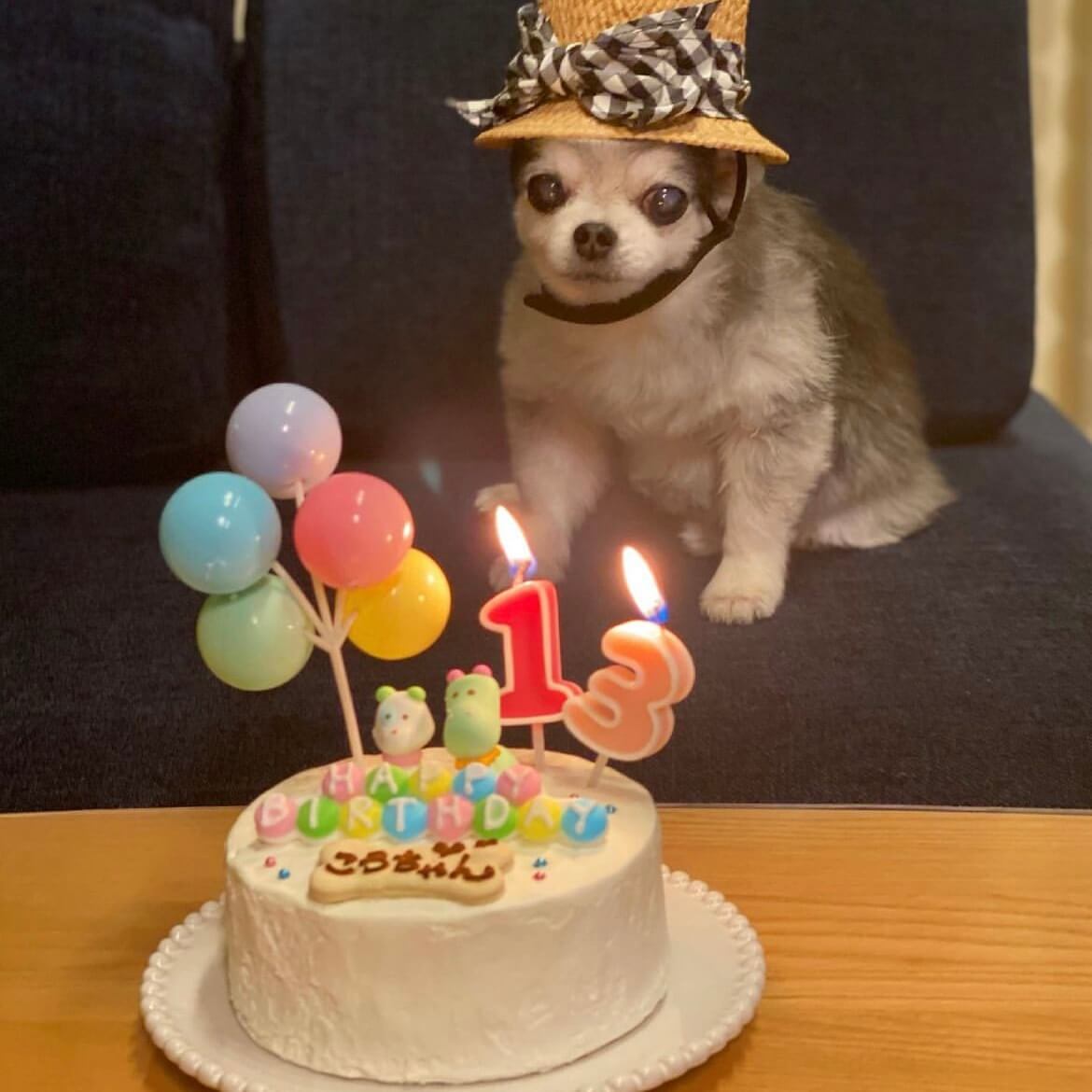 Baby's Toy BOX 4���������